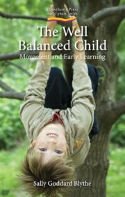 cover of The Well Balanced Child