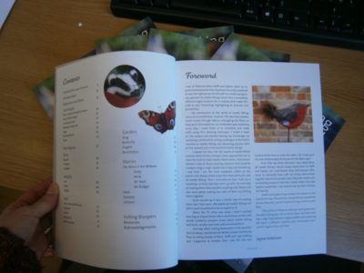 Making Needle Felted Animals 3