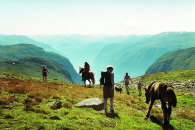 norwegian hillside