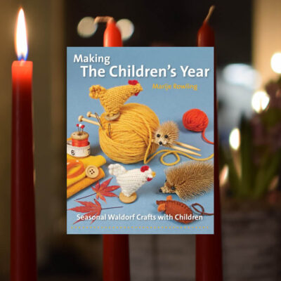 cover of Making the Children's Year