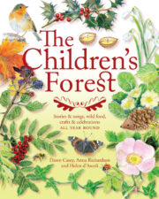 Cover of The Children's Forest