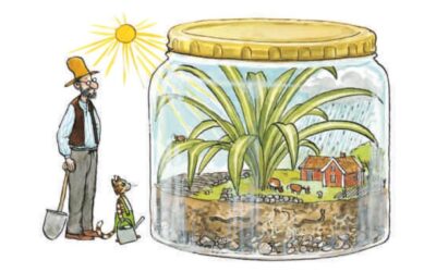 Pettson and Findus make a terrarium