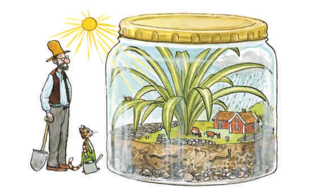 Pettson and Findus make a terrarium