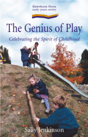 Front cover of The Genius of Play by Sally Jenkinson