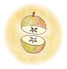 an apple cut in half