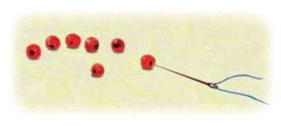 threading rowan berries