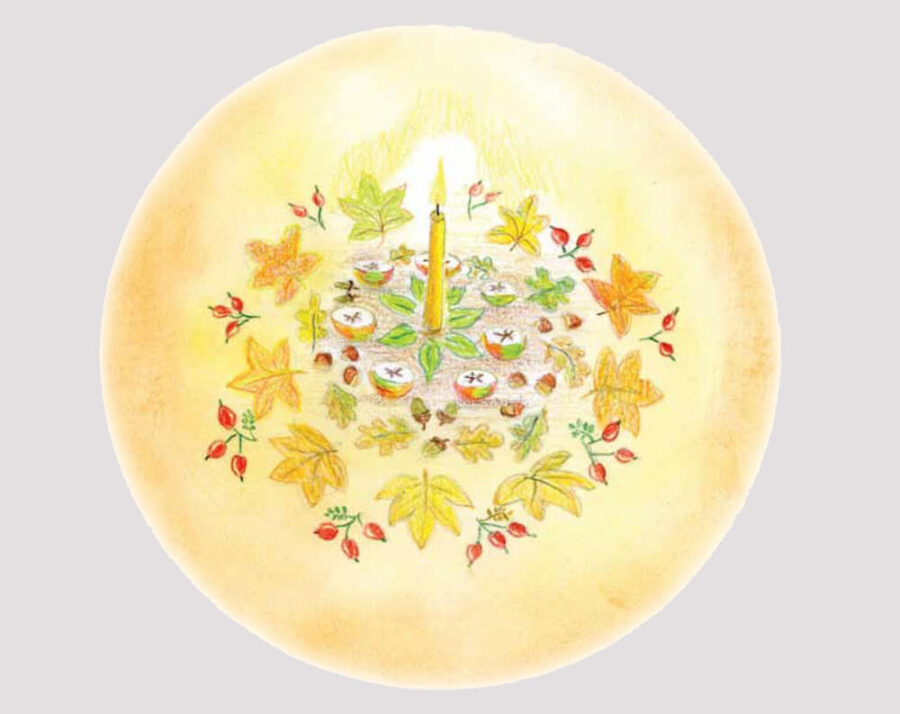 mandala made from leaves, nuts, rose hips, acorns, apples.