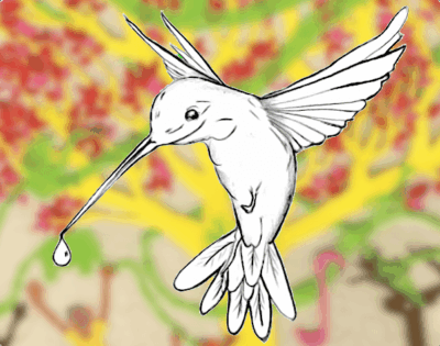 Tasso the little bird